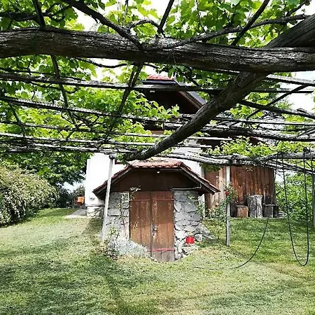 Carovina Holiday home *