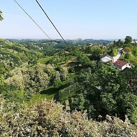 בית נופש Carovina Paradiz